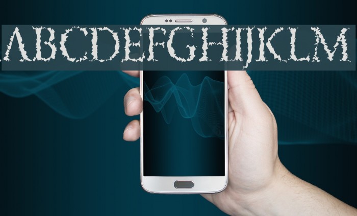 PorcupineRoman Example 1