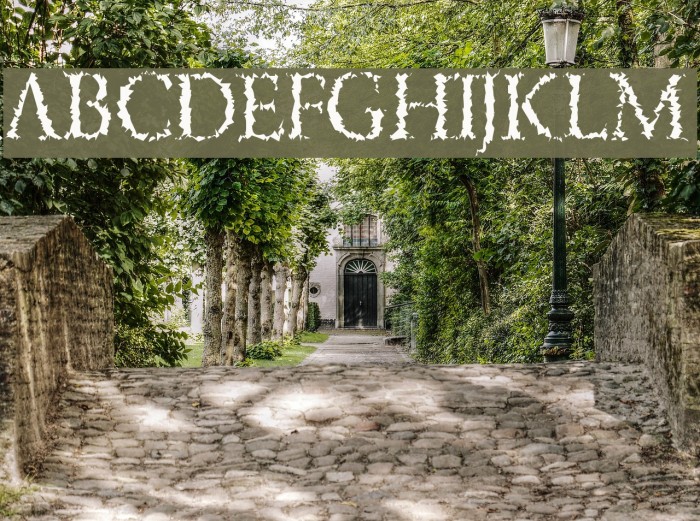 PorcupineRoman Example 2