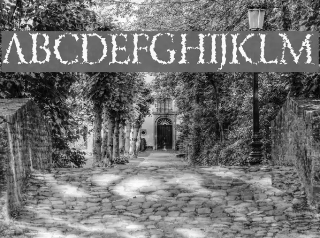 PorcupineRoman Font examples