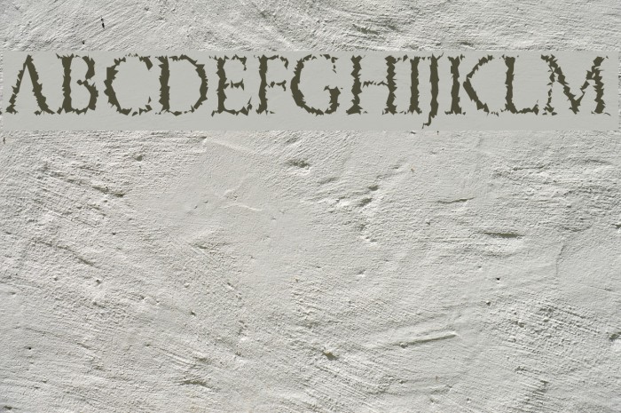 PorcupineRoman Example 3