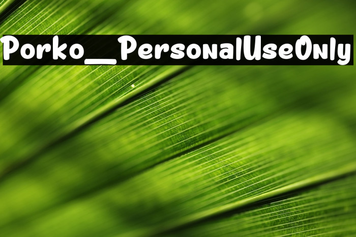 Porko_PersonalUseOnly Example 1