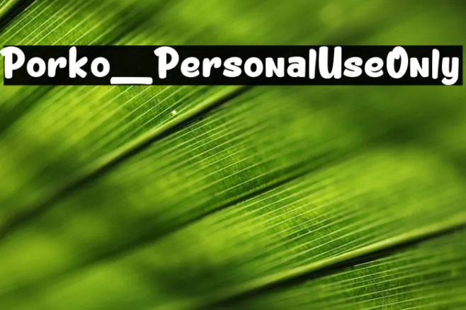 Porko_PersonalUseOnly Example 1