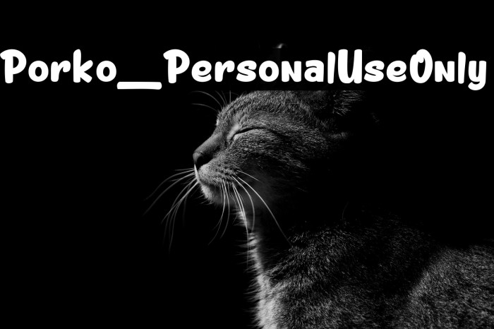 Porko_PersonalUseOnly Example 3