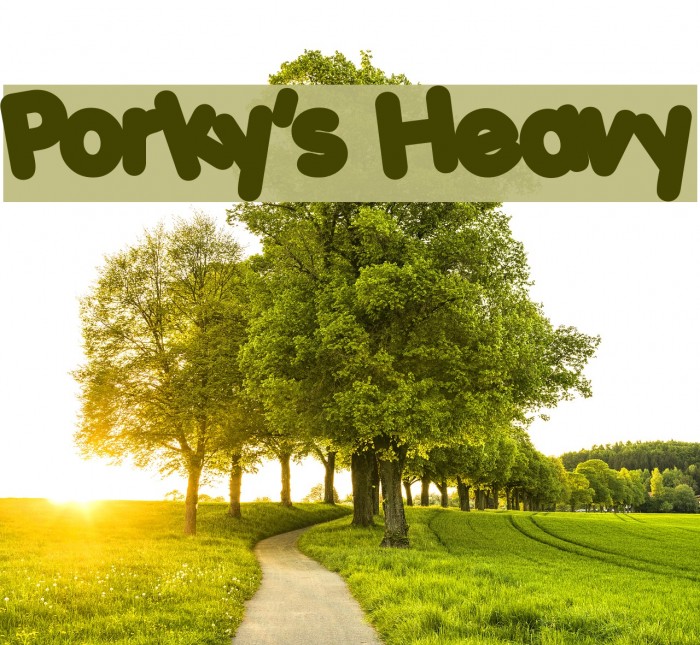 Porky's Heavy Font examples