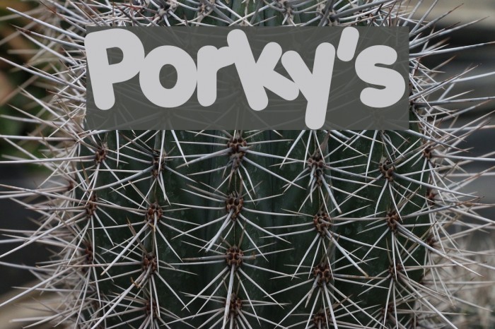 Porky's Font examples