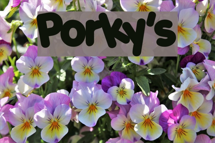 Porky's Font examples