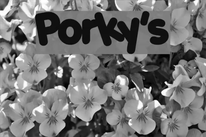 Porky's examples