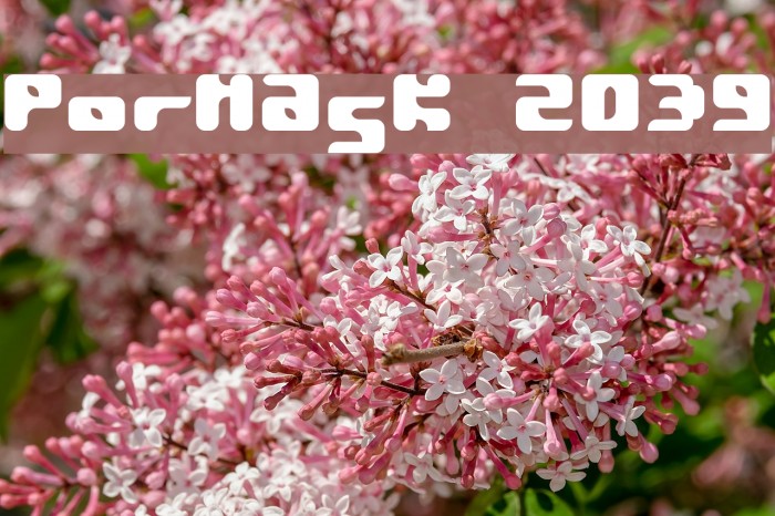 Pormask 2039 Font examples