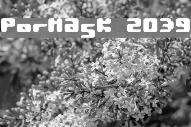 Pormask 2039 Fuentes examples