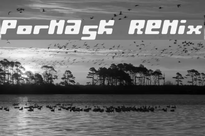Pormask Remix Font examples