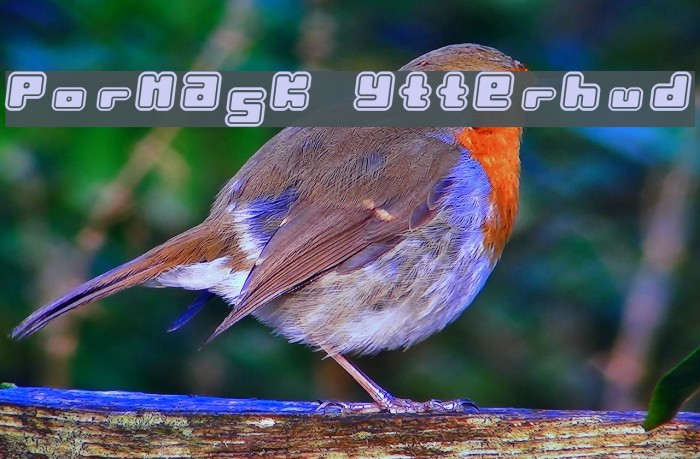 Pormask Ytterhud Font examples