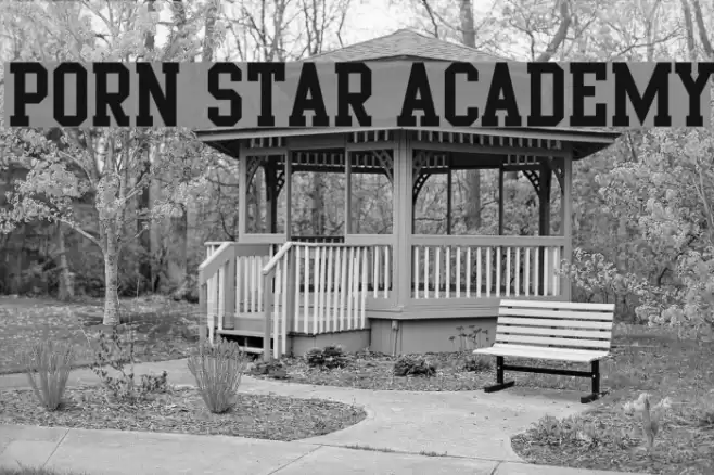 Porn Star Academy Schriftart examples