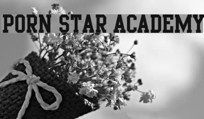 Porn Star Academy Schriftart examples