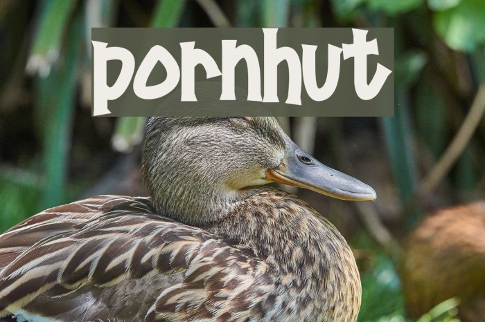 Pornhut Font examples