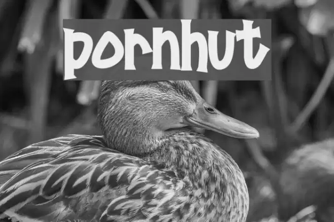 Pornhut Polices examples