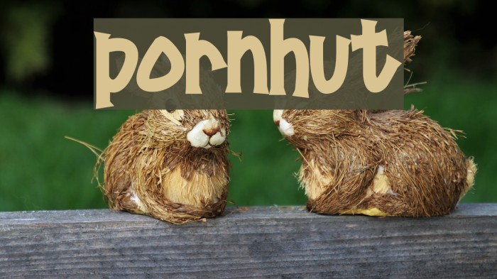 Pornhut Font examples
