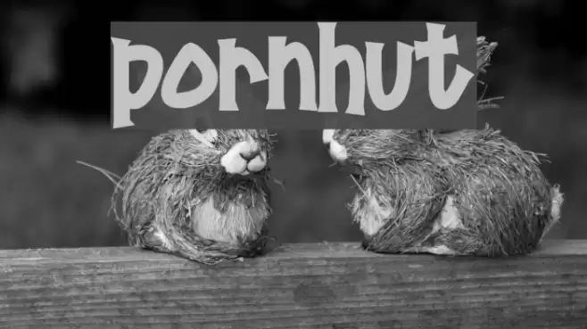 Pornhut Polices examples