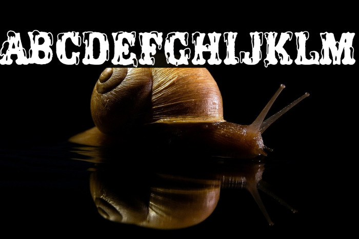 Porno Circus Example 1