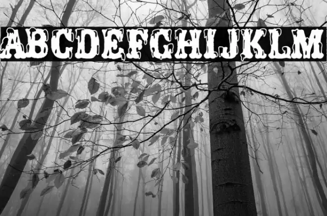 Porno Circus Font examples