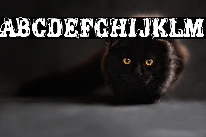 Porno Circus Example 3