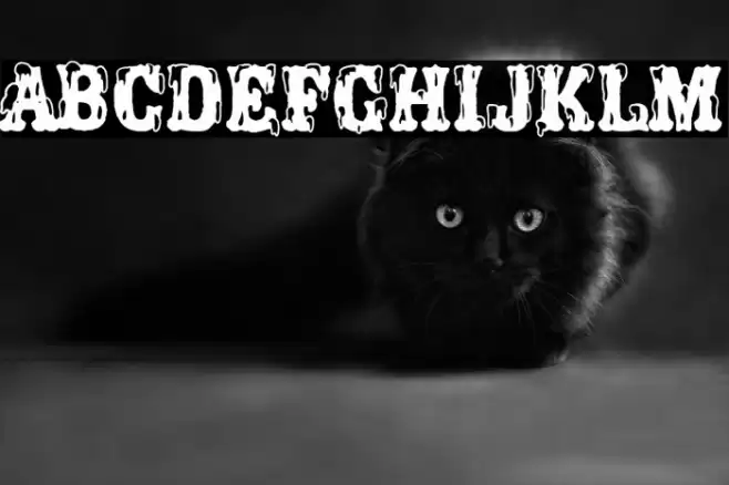 Porno Circus Font examples