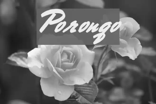 Porongo Font examples