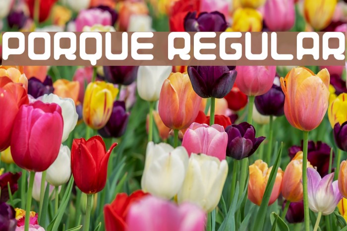 Porque Regular Font examples