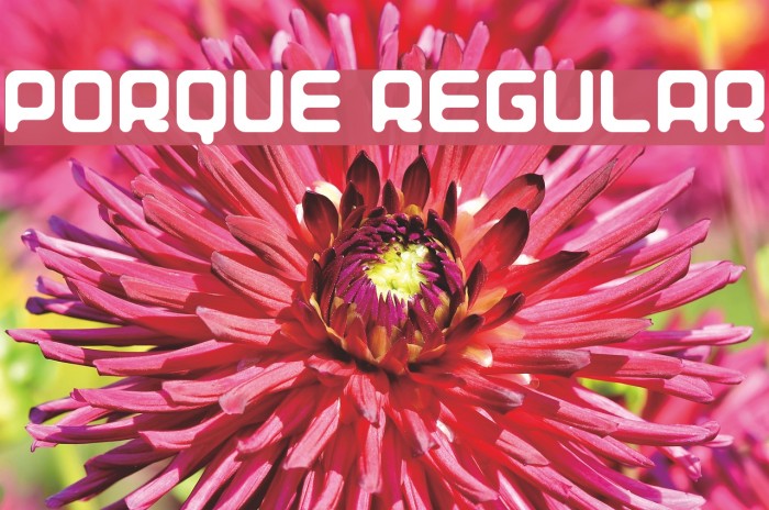 Porque Regular Font examples