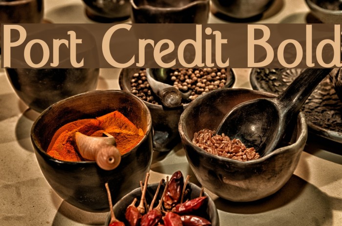 Port Credit Bold Schriftart examples