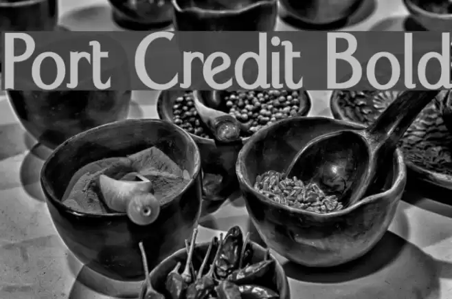 Port Credit Bold Schriftart examples