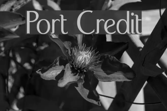 Port Credit Font examples