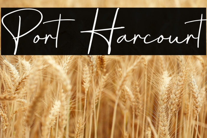 Port Harcourt Example 1