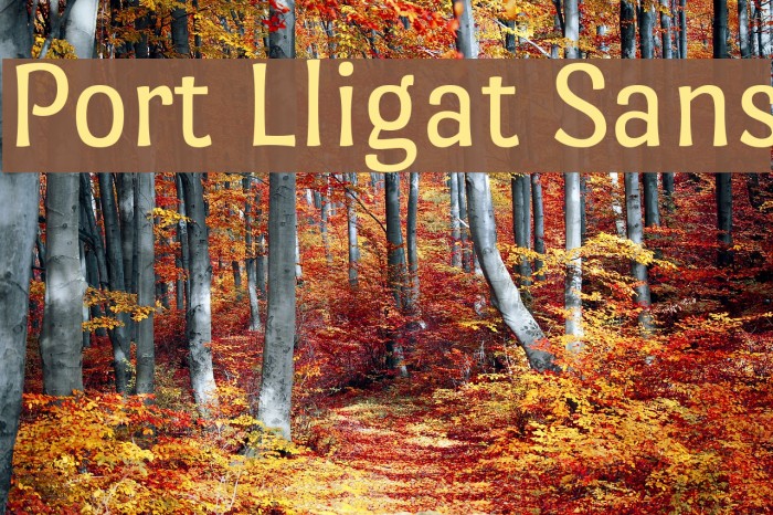 Port Lligat Sans Font examples