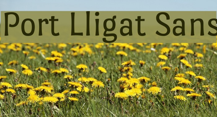 Port Lligat Sans Font examples