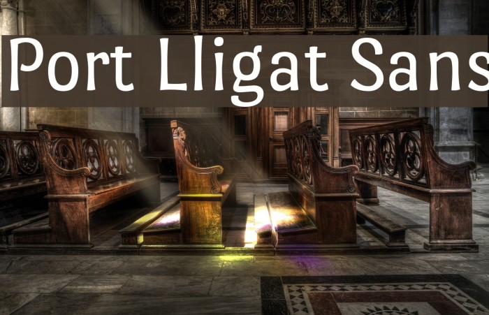 Port Lligat Sans Font examples