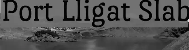 Port Lligat Slab Font examples