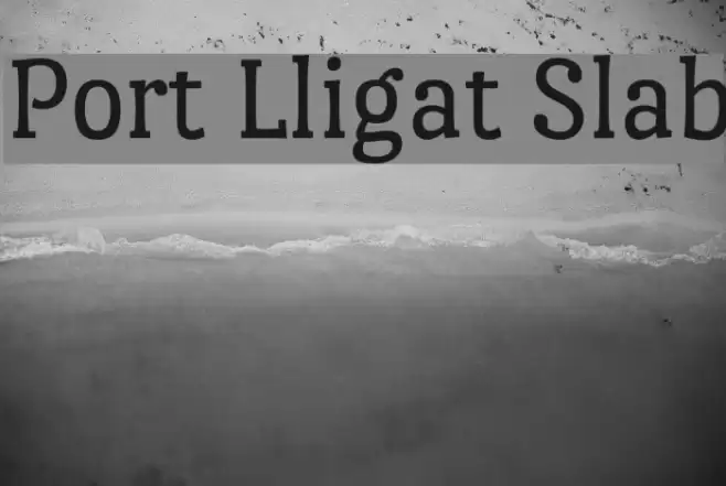 Port Lligat Slab Font examples