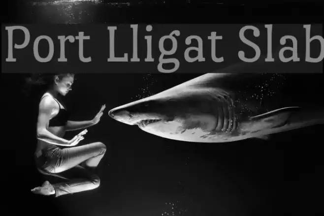 Port Lligat Slab Font examples