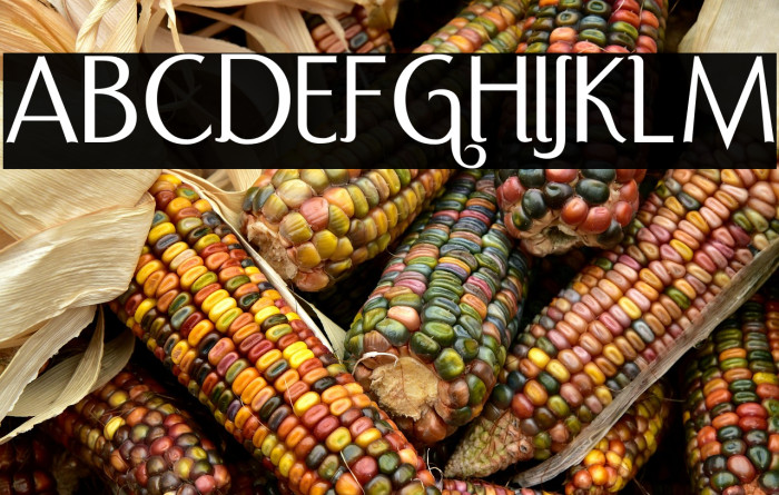 PortCredit-Regular Example 3