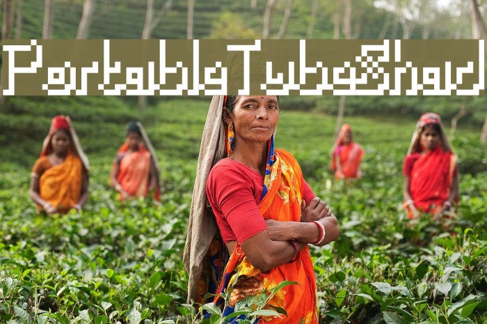 PortableTubeShad Example 3