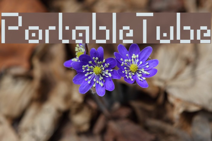 PortableTube Font examples