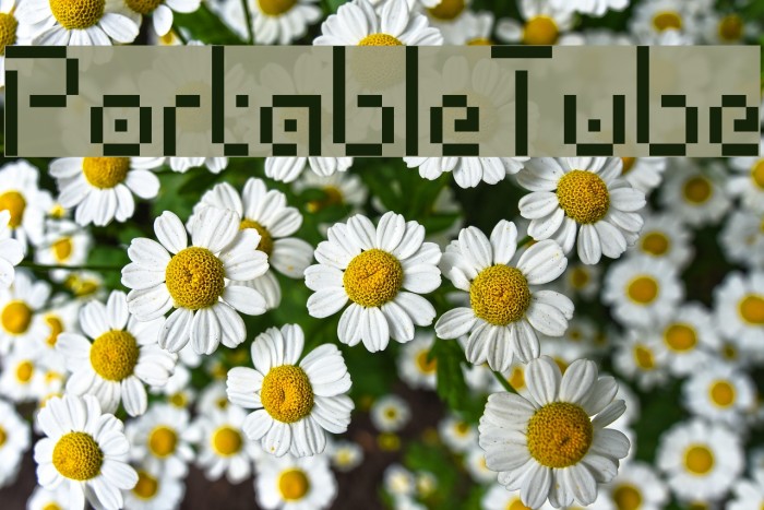 PortableTube Font examples