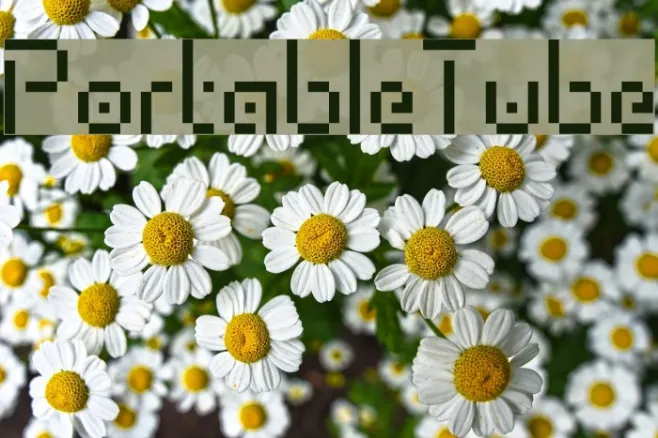 PortableTube Example 2