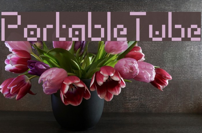 PortableTube Font examples