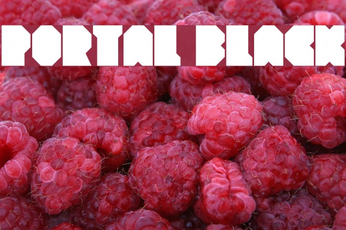 Portal Black Font examples