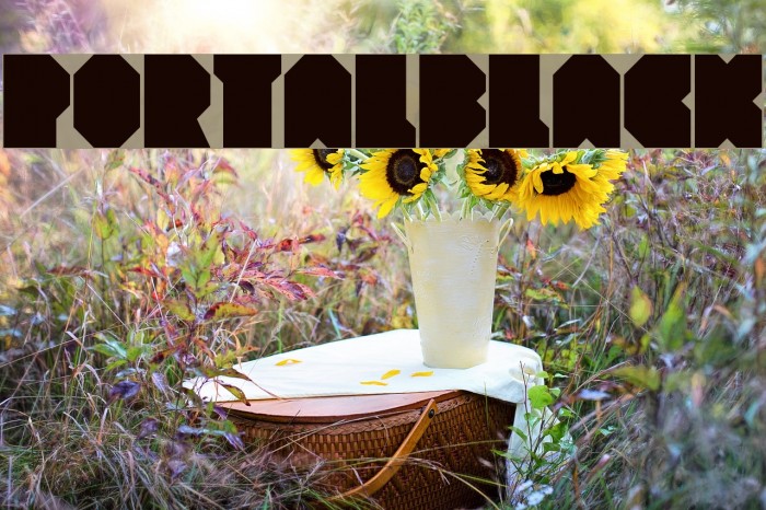 PortalBlack Font examples