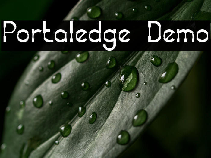 Portaledge Demo Example 1