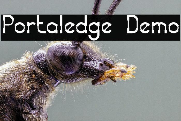 Portaledge Demo Example 3