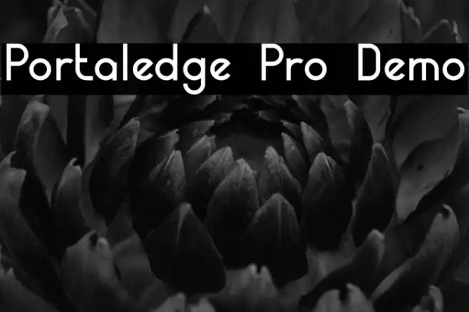 Portaledge Pro Demo Font examples
