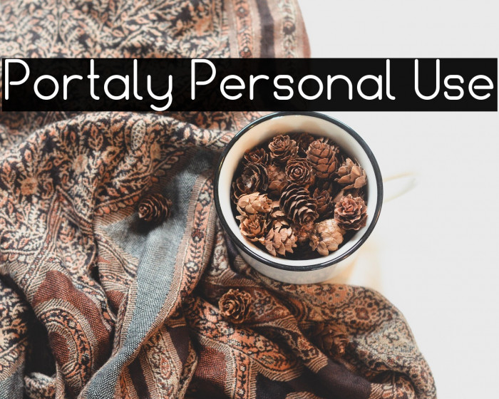 Portaly Personal Use Example 1